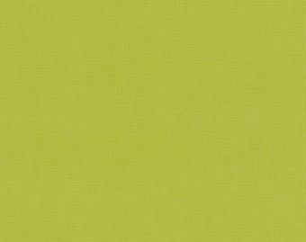 [200111120_6] Taralay Initial Compact - 0515 Diversion Kiwi